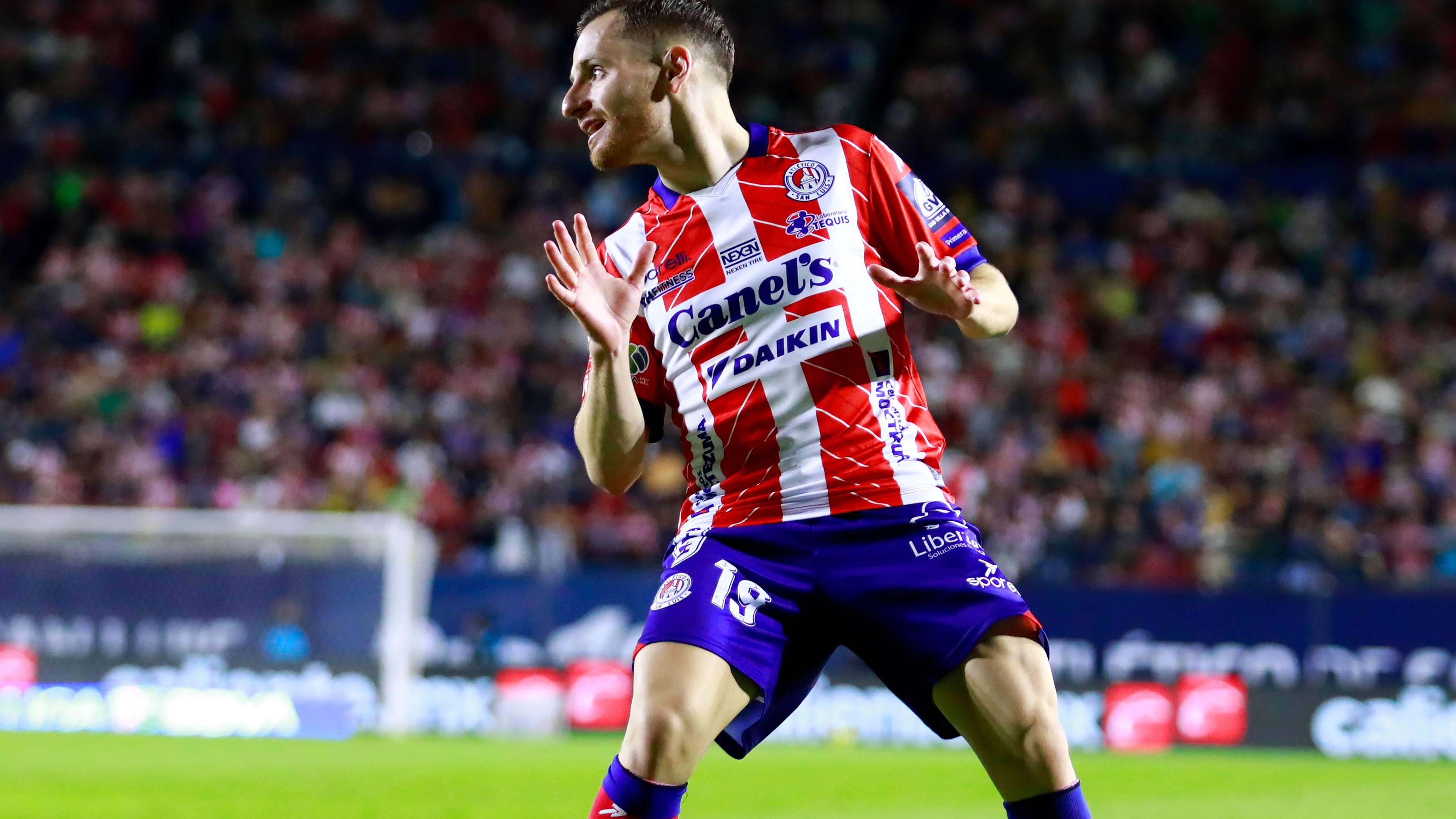 另一位年轻 另一位年轻