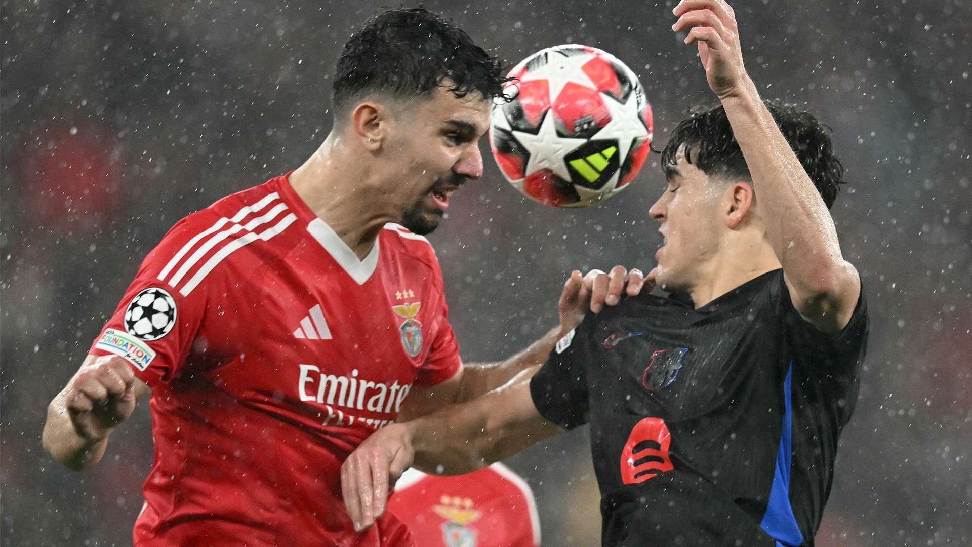 这样的努力 这样的努力